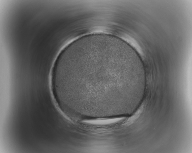 X0000096670991200802121148