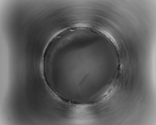 X0000096670992200802121148