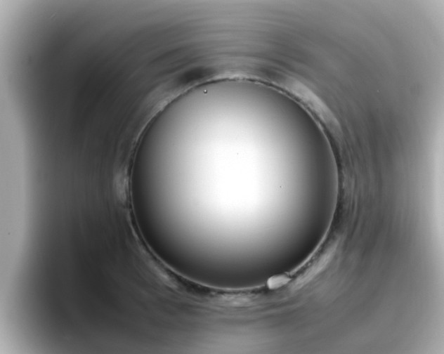 X0000096670993200802121148