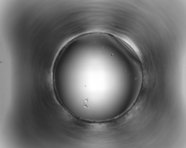 X0000096670996200802121147