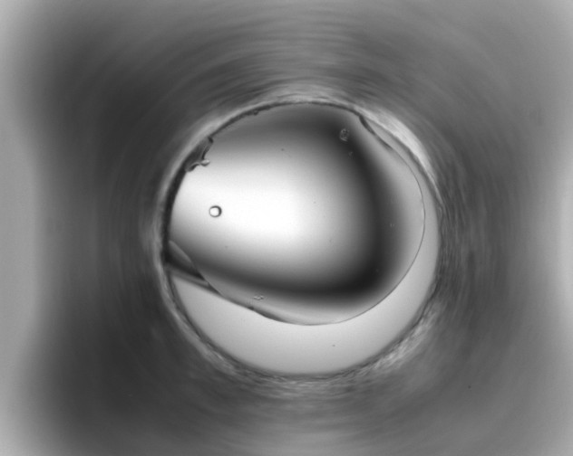 X0000096670997200802121147