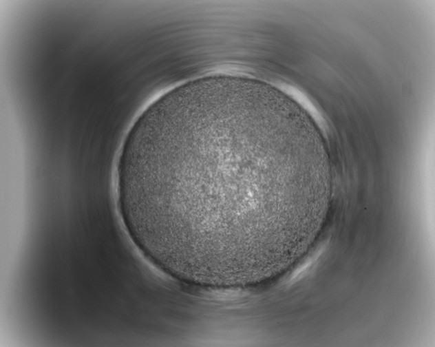 X0000096670999200802121147
