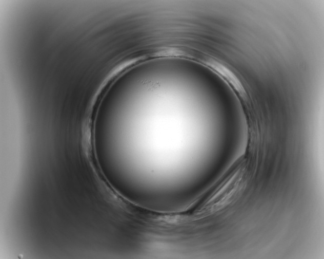 X0000096671000200802121147