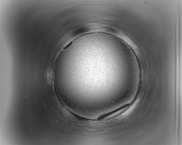 X0000096671001200802121147