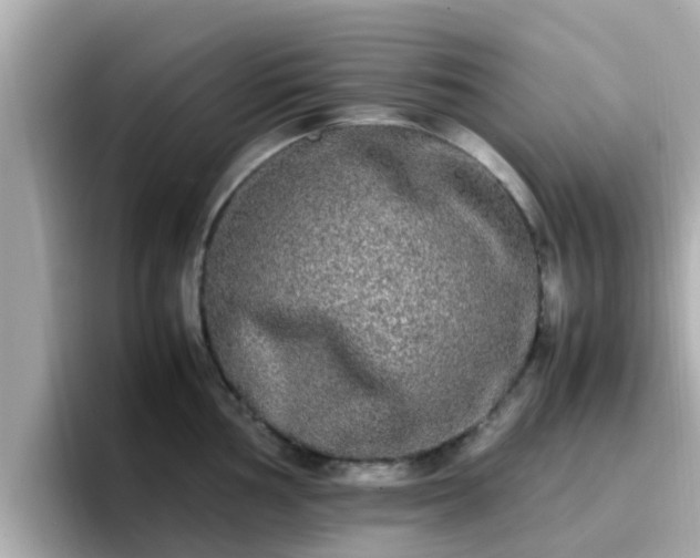 X0000096671002200802121147