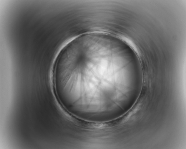 X0000096671003200802121147