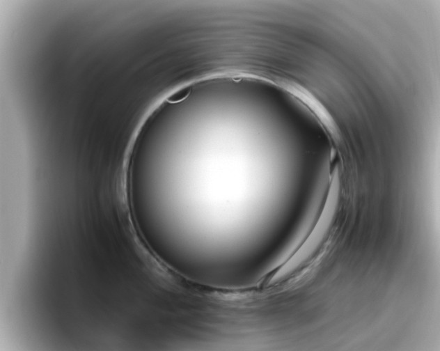 X0000096671004200802121147