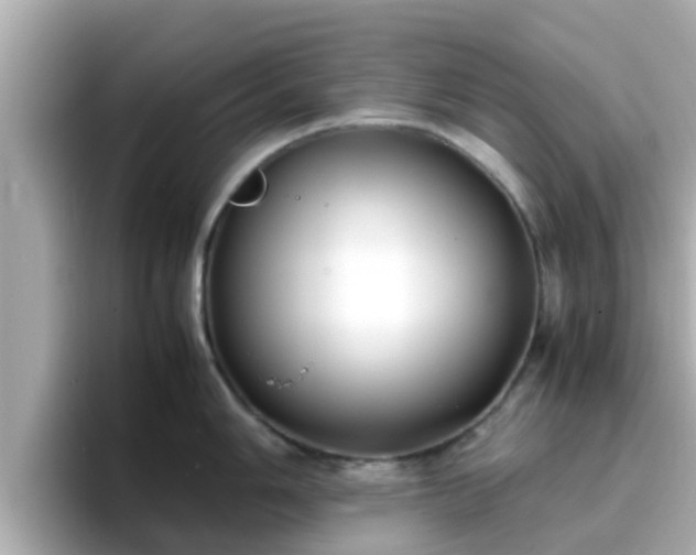 X0000096671006200802121147