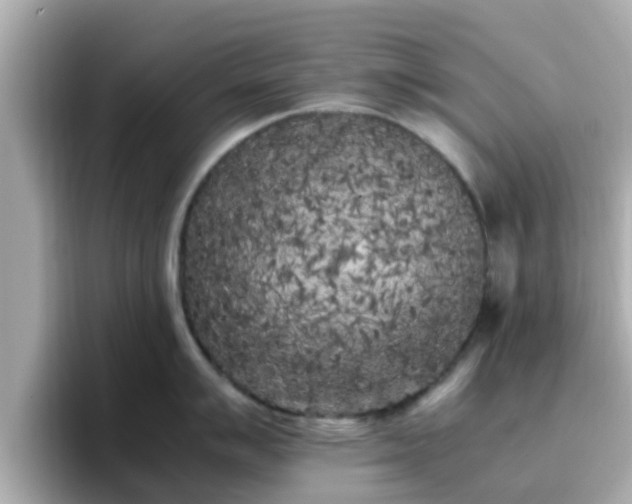 X0000096671007200802121147