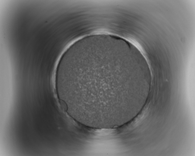X0000096671008200802121147