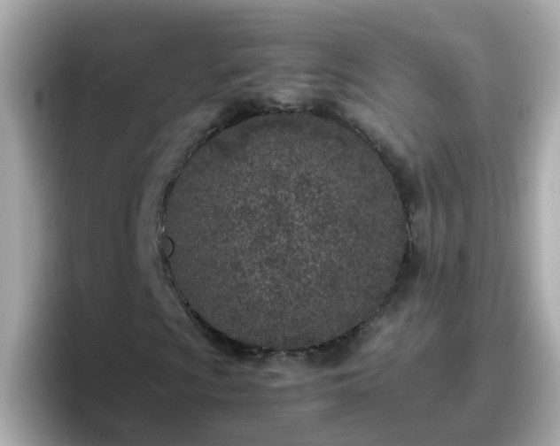 X0000096671009200802121147
