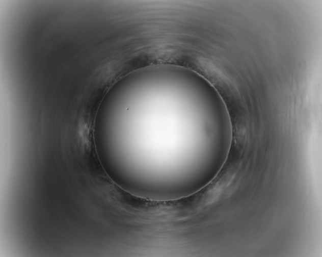 X0000096671010200802121147