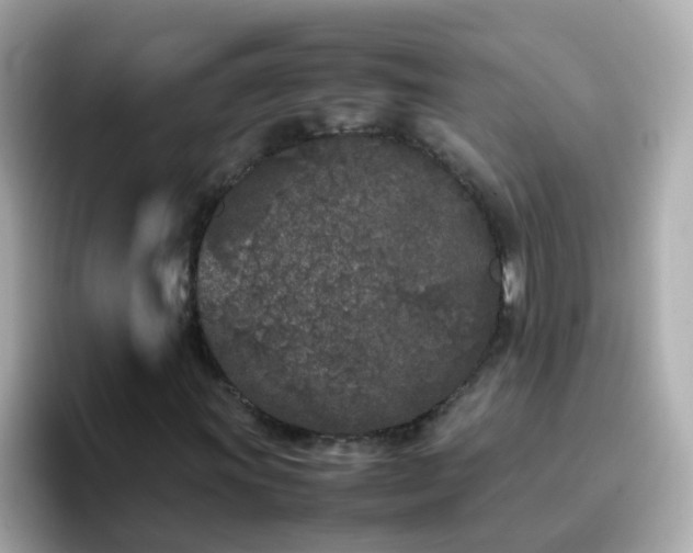 X0000096671011200802121147