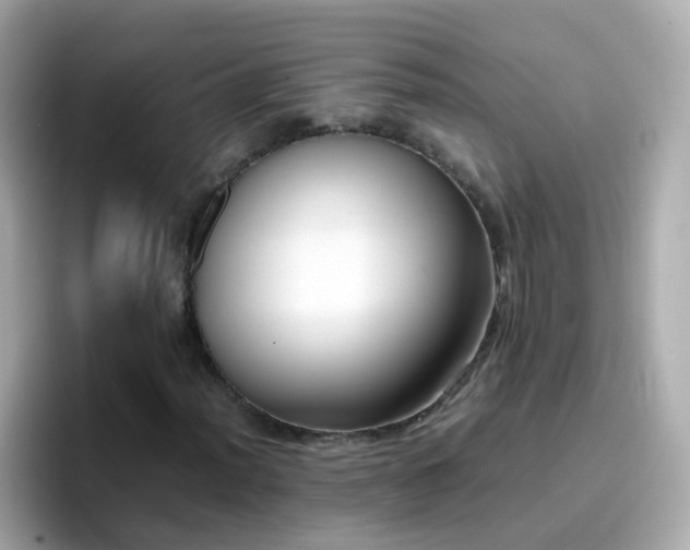 X0000096671012200802121147