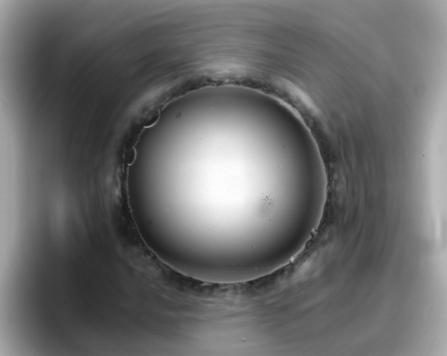 X0000096671016200802121147