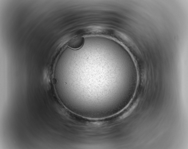 X0000096671017200802121147