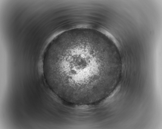 X0000096671019200802121147