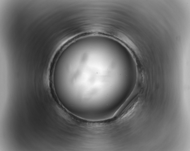X0000096671020200802121147