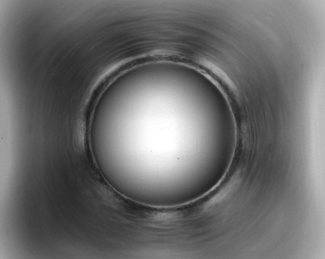 X0000096671021200802121147