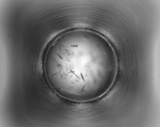 X0000096671022200802121147