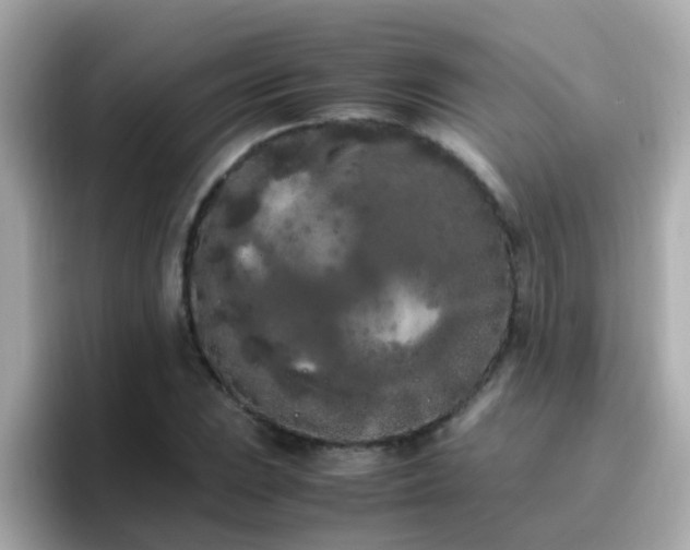 X0000096671023200802121147