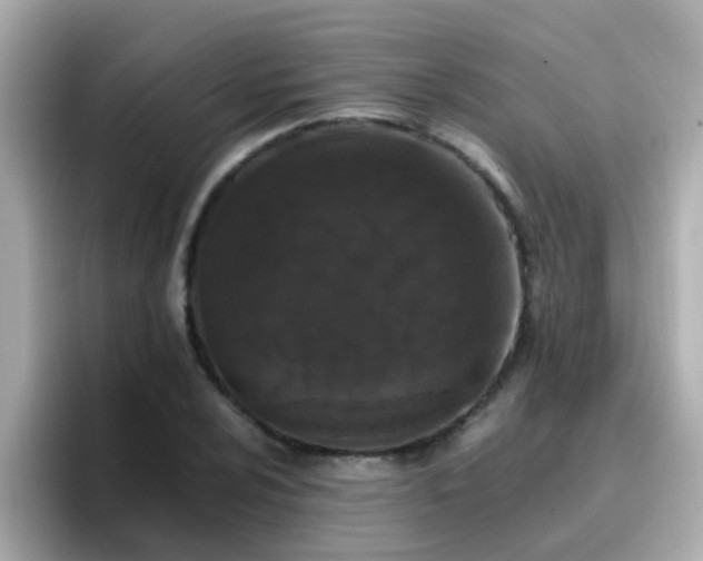 X0000096671024200802121147