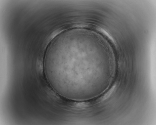 X0000096671025200802121147