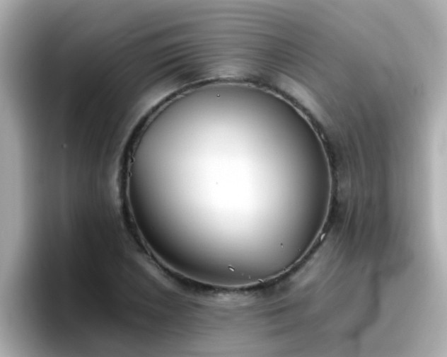 X0000096671026200802121147