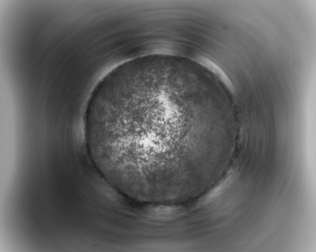 X0000096671027200802121147