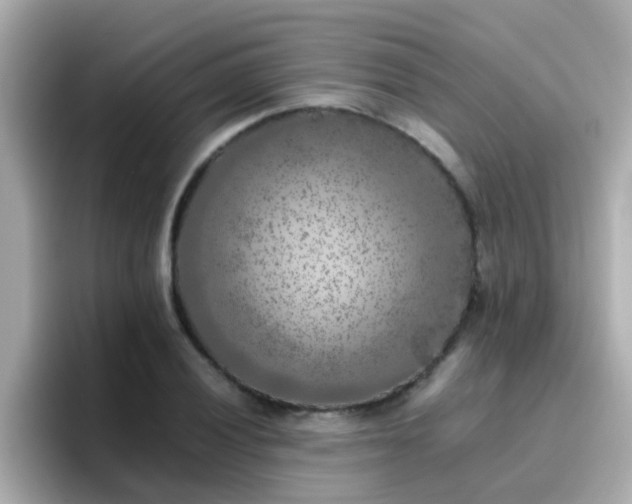 X0000096671028200802121147
