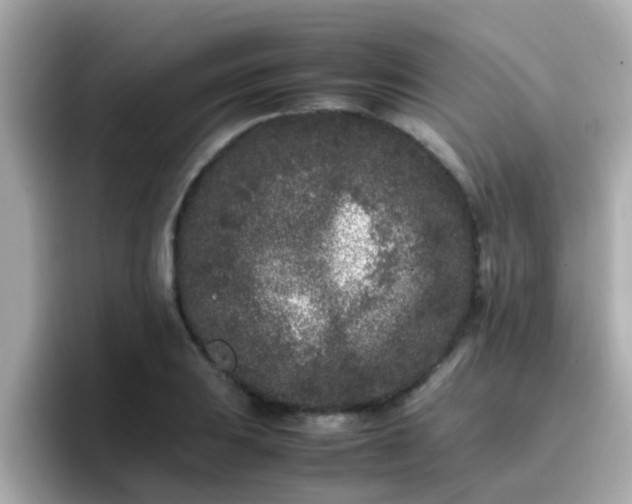 X0000096671031200802121147