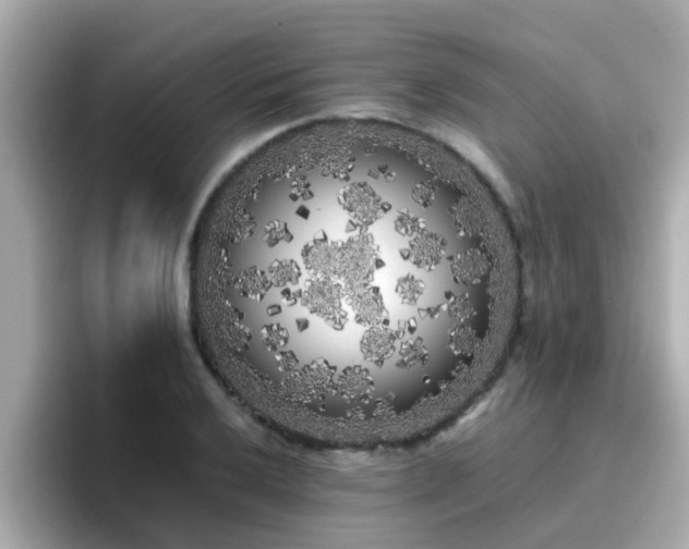X0000096671032200802121147