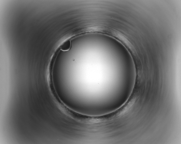 X0000096671034200802121147