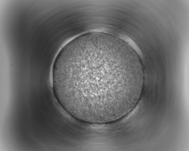 X0000096671036200802121147