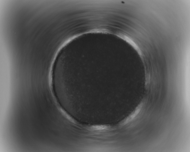 X0000096671037200802121147