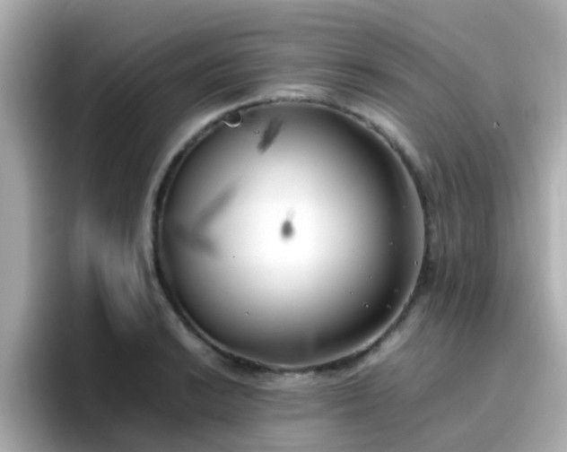 X0000096671038200802121147