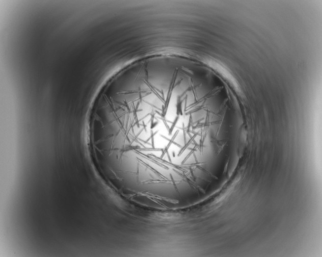 X0000096671040200802121147
