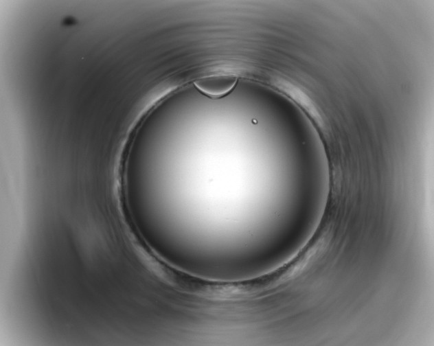 X0000096671042200802121147