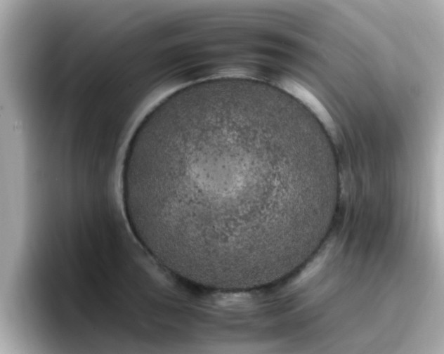X0000096671043200802121147
