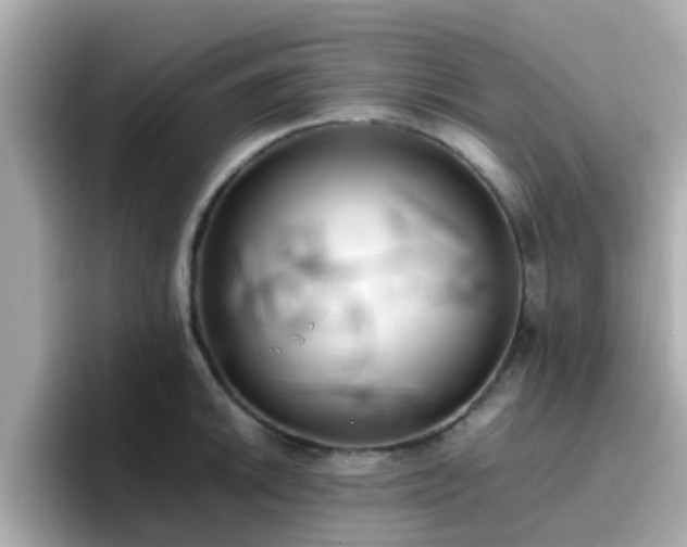 X0000096671046200802121147