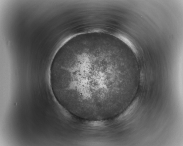 X0000096671047200802121147