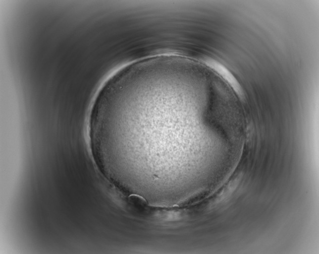X0000096671051200802121147