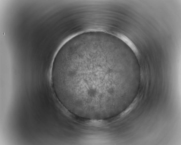 X0000096671052200802121147