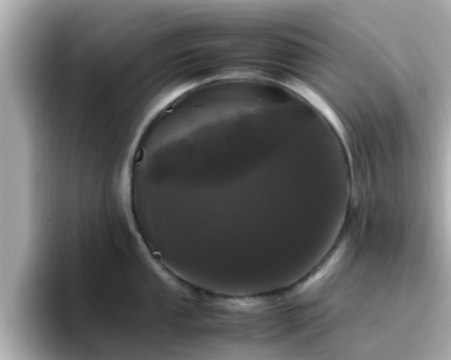 X0000096671053200802121147
