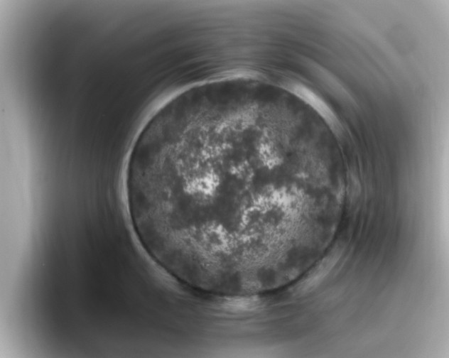 X0000096671055200802121147