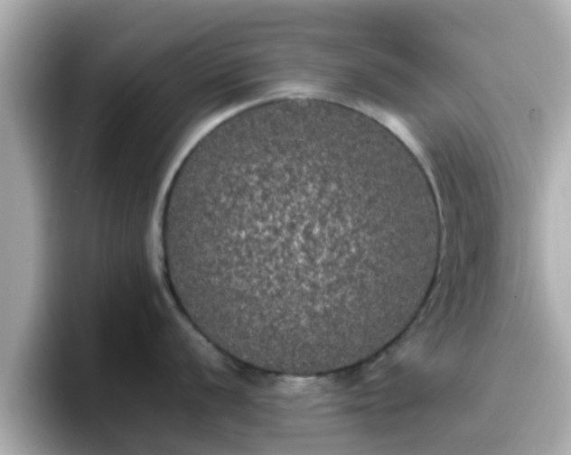 X0000096671056200802121147