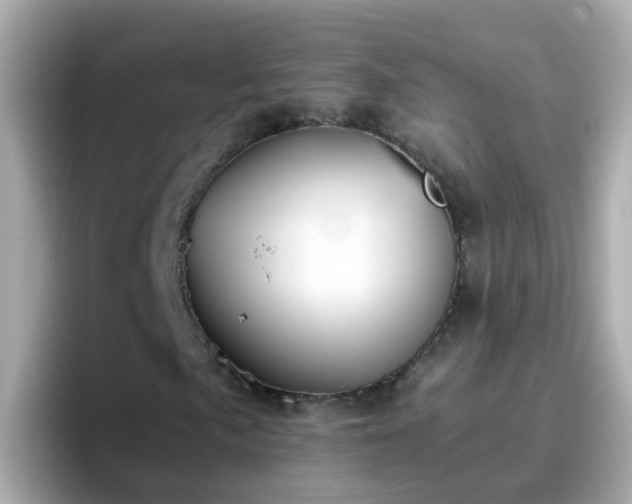 X0000096671057200802121147