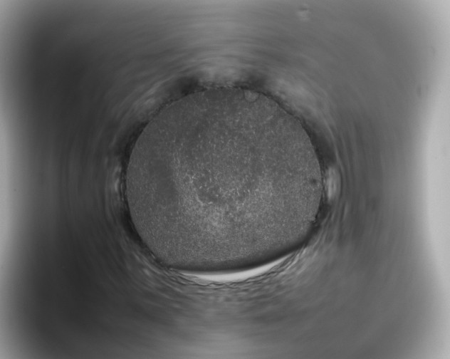 X0000096671059200802121147