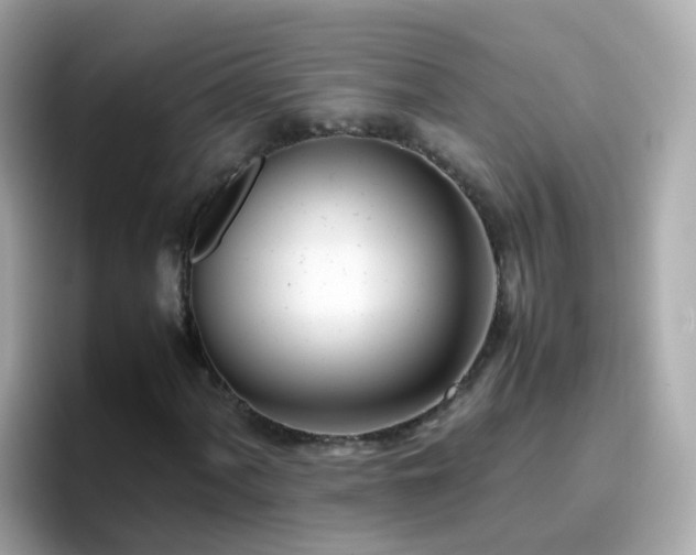 X0000096671060200802121147