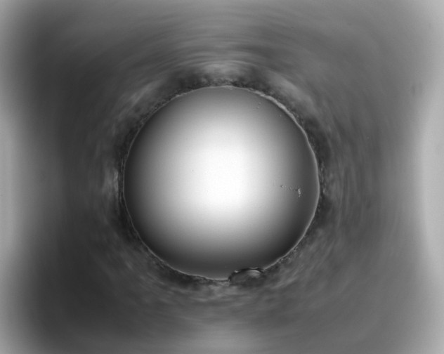 X0000096671061200802121147